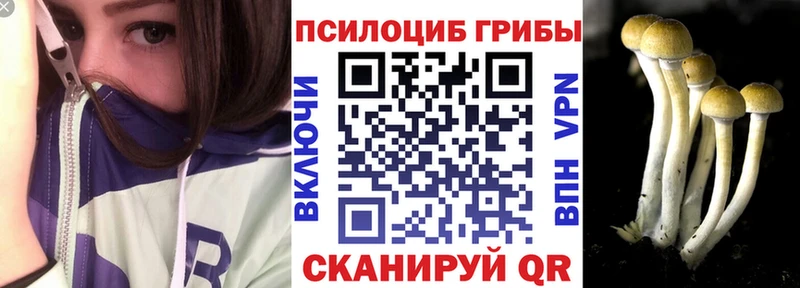 Псилоцибиновые грибы GOLDEN TEACHER  блэк спрут ссылка  Минеральные Воды  как найти наркотики 